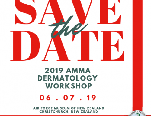 The AMMA workshop has been announced